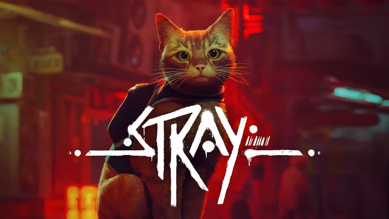 Stray 2024