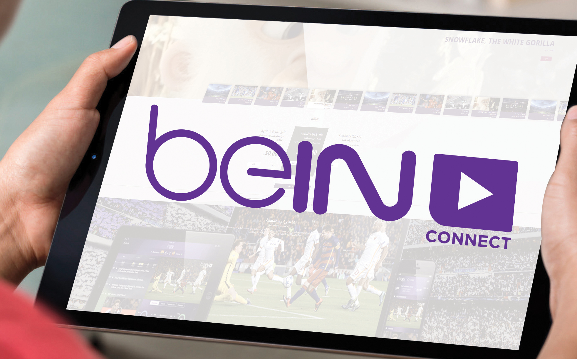 تحميل برنامج BeIN Connect للكمبيوتر 2024 بين كونكت مجانا